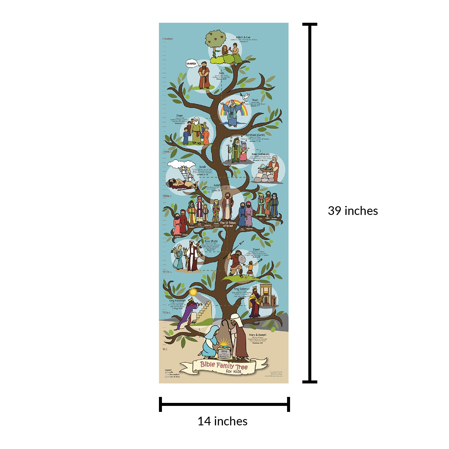 Family Tree Bible Poster dimensions.